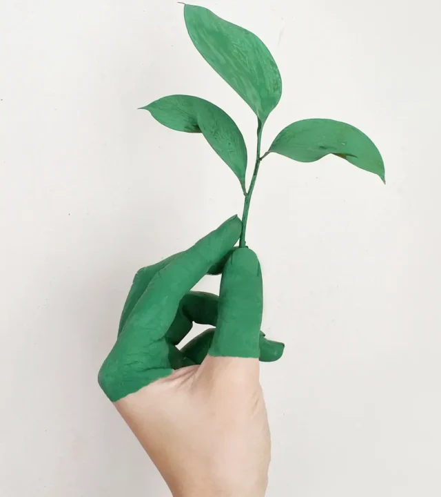 The hand of a person with green painted finger tips is holding a tree sapling to show Retaro's sustainability in software programming projects
